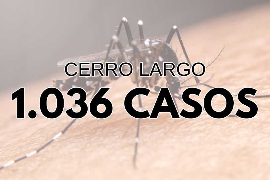 Cerro Largo supera mil casos de dengue