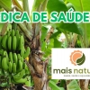 Dica de Saúde: Farinha de Banana Verde