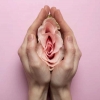 Rejuvenescimento íntimo feminino