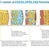 Dra. Rejane Wisniewski apresenta a Criolipólise de Placas