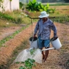 Trabalhador rural é vulnerável a ansiedade e depressão