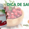 Dica de Saúde: Cranberry