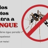 Região Noroeste registra mais três mortes por dengue