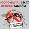 Dengue: prevenção é a arma mais eficaz