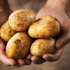 Modo de preparo muda benefícios da batata