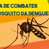 Confirmado um caso de dengue, em Roque Gonzales