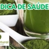 Dica de Saúde: Matcha